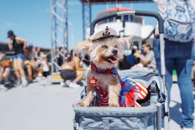 Seeing the City By Sea: Circle Line Considering ‘Love Boat’ Cruises Around Manhattan Circle Line also offers Pub Cruises around Manhattan.