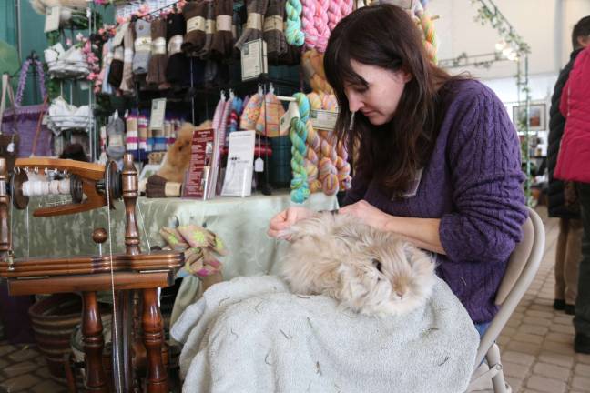 Natalie Burger of Branchville and Hidden Pastures Farm demonstrates with Latte' an English Angora Rabbit how to harvest the fibers and spin it into angora fleece.