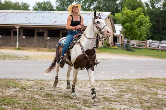 Hold your horses: There are hundreds of animals to see at the fair