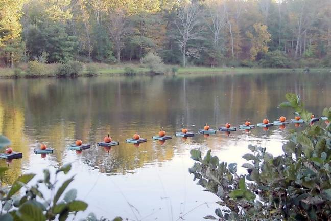 The pumpkin float (Photo provided)