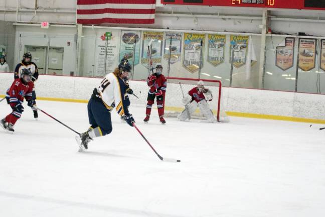 Vikings advance to H/W/S semis Vernon's Christopher Gay lines up the puck for a shot. He scored one goal and made four assists.