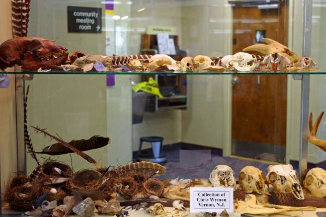 Library to host animal skulls exhibit