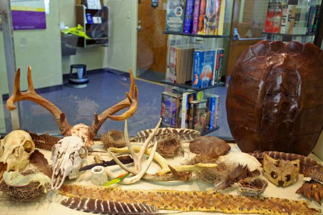 Library to host animal skulls exhibit