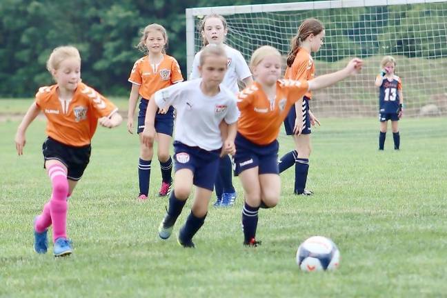 Lady Patriots (Lenape Valley Soccer Club Facebook page)