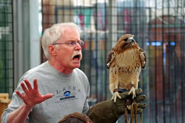 Always a favorite at Vernon's Earthfest, Bill Streeter of the Delaware Valley Raptor Center is shown with a Red Tail Hawk during a Birds of Prey demonstration.