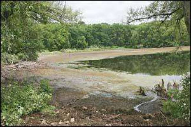Lafayette pond falls victim to standoff Lafayette pond falls victim to standoff