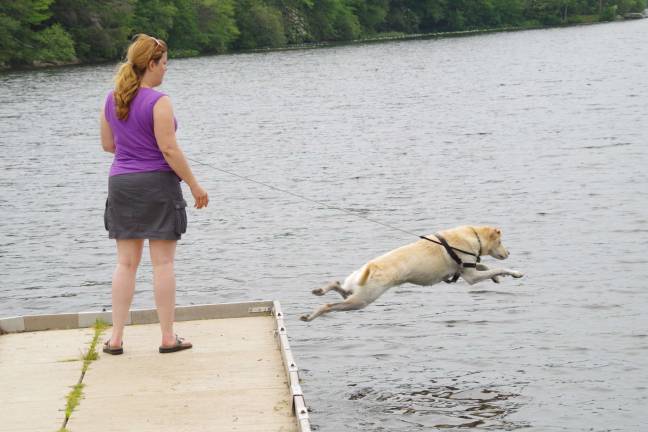 Wawayanda State Park is a great place to walk and even &#xfe;&#xc4;&#xfa;swim&#xfe;&#xc4;&#xf9; your dog as Scotch Plains resident Andrea Masri and her dog Troy easily proved on Monday. She adopted the dog, a Tennesse- born Labrador greyhound mix through American Lab Rescue.