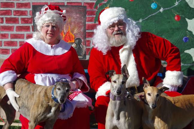 Three greyhounds pose with Santa and Mrs. Paws. From the left the dogs are Montana and Sassy belonging to Dawn and Jim Thompson of Vernon and Wilma belonging to John and Judy Holmes of Warwick, N.Y.
