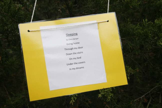 Poetry al fresco Sleeping