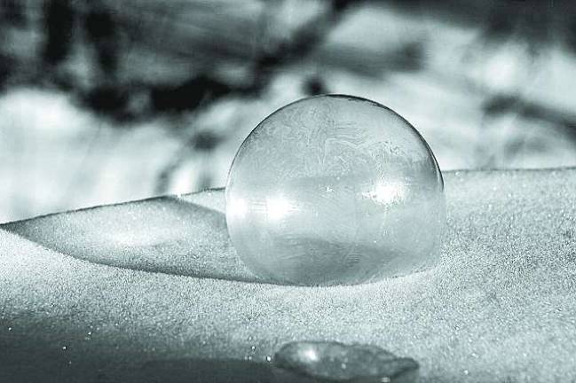 Winter Pearls Winter Pearls