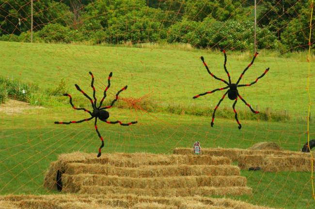 Climb the giant spider web.