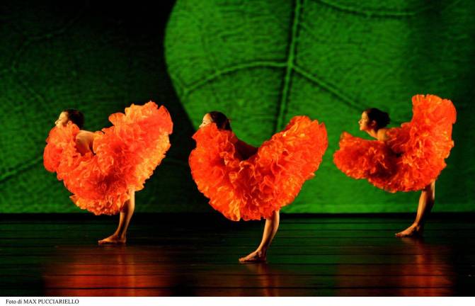 Photo credit Max Pucciariello Modern dance company Momix performs &quot;Botanica.&quot;