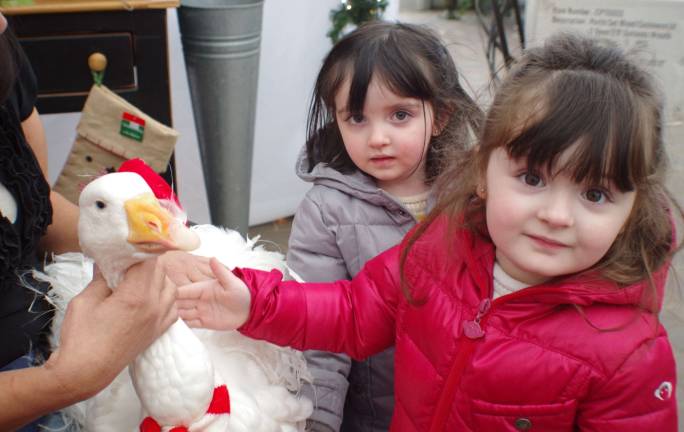 Twin sisters Cailyn and Brenna Marks, 2, of Franklin were fascinated by Oliver the Goose during their visit to Heaven Hill Farm. The goose belongs to Vernon author Leesa Beckmann.