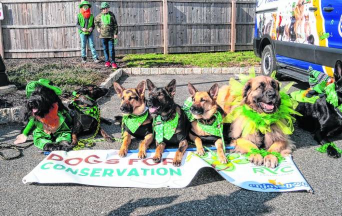 Dogs await the start of the parade. Dogs for Conservation have been trained to use their extraordinary sense of smell to protect wildlife and wild places.