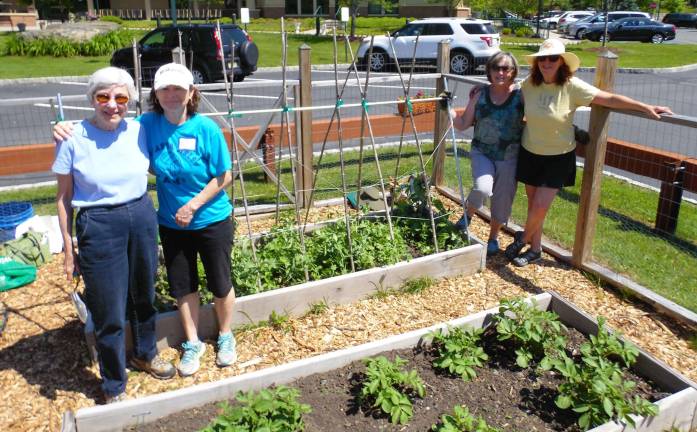 Volunteers Mary Spector, Marie Wilson, Claudia Kunath and Anita Schweizer are among the many seasoned gardeners who design and maintain the community gardens at Project Self-Sufficiency.