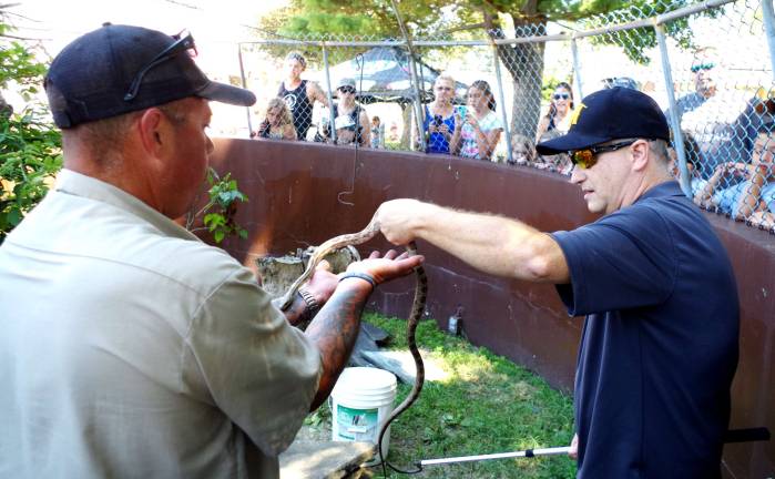 At right, WSUS Radio DJ Steve Andrews gently takes a rat snake from Assemblyman Parker Space while standing in snake den at Space Farms Zoo &amp; Museum during the zoo&#xfe;&#xc4;&#xf4;s Junior Zookeeper Day. The snake den also had numerous poisonous snakes near their feet.