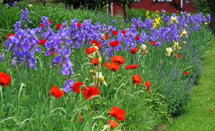 Meadowburn Farm opened for tours One of many displays of flowers at VernonþÄôs Meadowburn Farm.