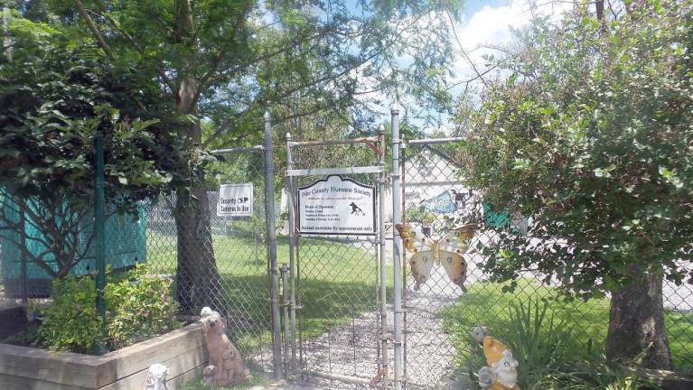 Wife is second woman to seek protection from humane society director The Pike County Humane Society in Shohola (Photo by Frances Ruth Harris)