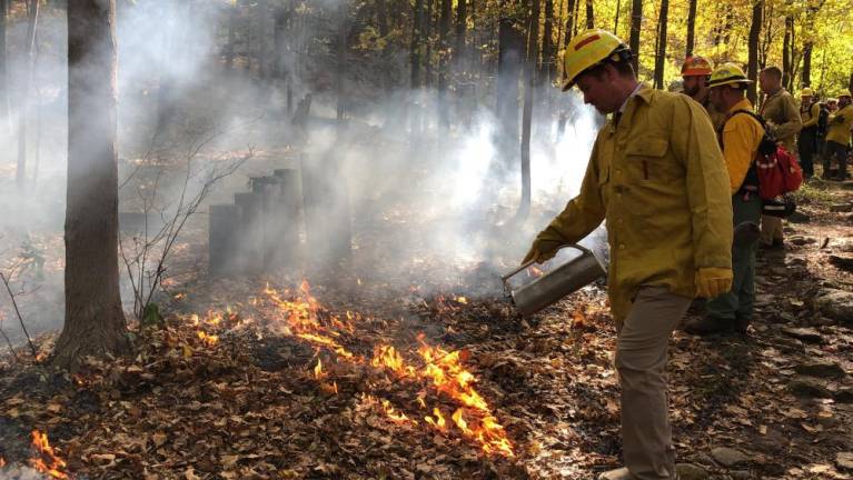 Lighting a fire under science students High Point Regional High School Principal Jon Tallamy helps light a prescribed burn on a quarter-acre of forest behind the school. (Photo by Kathy Shwiff)