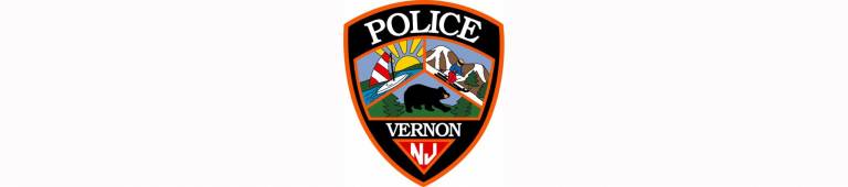 Vernon police officer fatally shoots dog