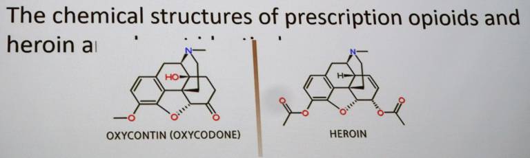 Comparative molecular models of Oxycontin (Oxycodone) and heroin are virtually identical.