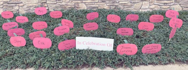 Pink pumpkins in celebration of survivors (Photo by Laura J. Marchese)