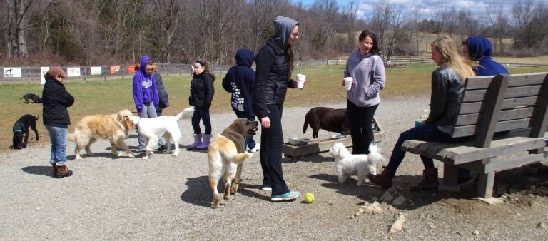 Scene at the Vernon Dog Park during the annual Doggie Easter Egg Hunt on Saturday.