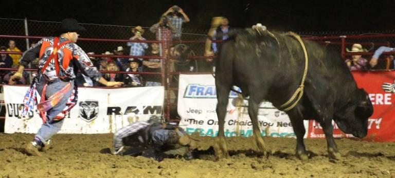 Tim C Shanahan of Flemington is shown bull riding.