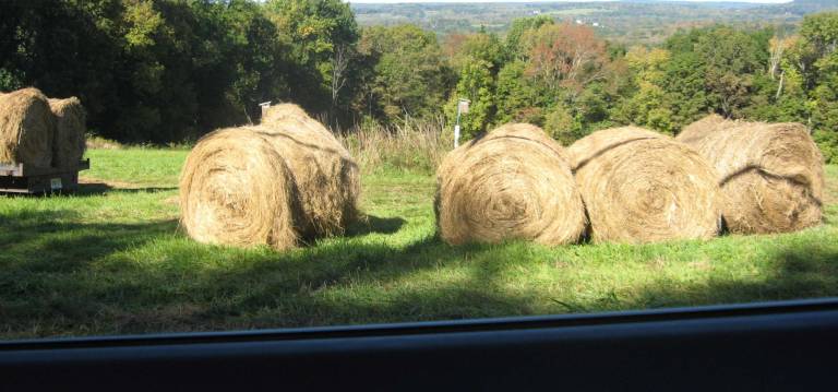 PHOTO BY JANET REDYKEArea farmers are baling hay for the approaching winter months.
