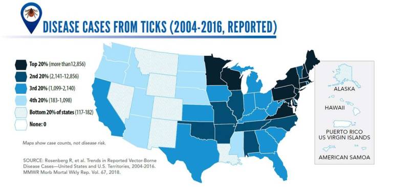 Tick illness explodes in the tristate area