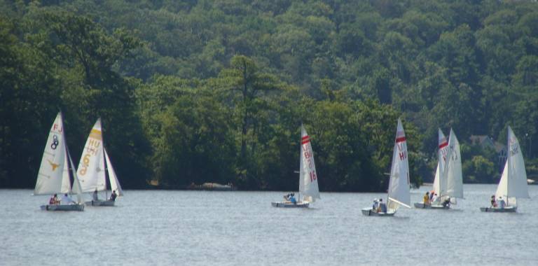 Sailboats cluster on the Main Lake in Highland Lakes on a perfect summer Sunday.