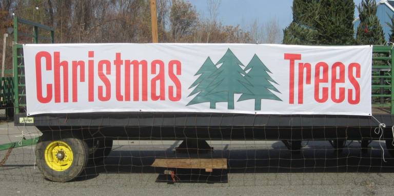 PHOTOS BY JANET REDYKESurprise, on Wednesday, Nov. 5, Christmas trees arrived at the Vernon Fire Dept. for the annual sale.