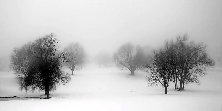 This image by Peter Kopher is entitled ‘Fading into the Fog.”