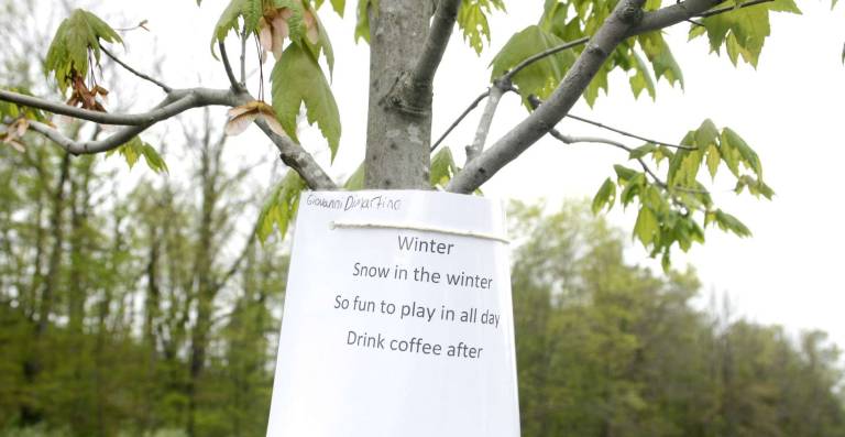 Poetry al fresco A poem in the sun.