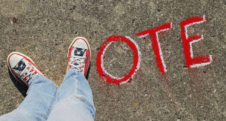 What Sussex County residents can expect to see at the polls in November Photo courtesy of Personalincome.org http://www.personalincome.org/vote/