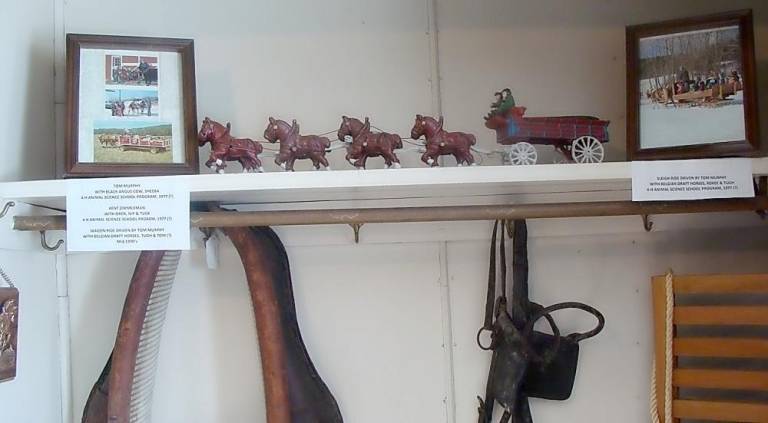 Lusscroft Farm welcomes Christmas Some equine history is displayed at the farm’s open house.