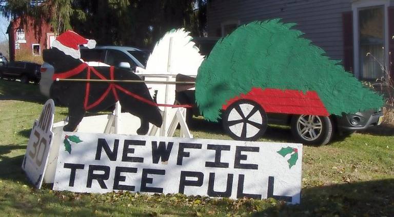 The Newfoundland Pull drew crowds on November 30 at the Country Heritage Christmas Tree Farm on Plains Road in Augusta.
