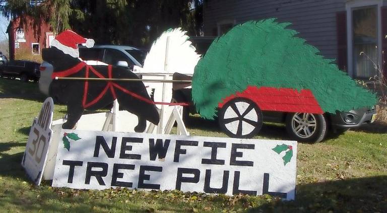 The Newfoundland Pull drew crowds on November 30 at the Country Heritage Christmas Tree Farm on Plains Road in Augusta.