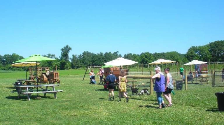 Customers brave the bright sunshine to check out the picnic, playground and petting zoo areas
