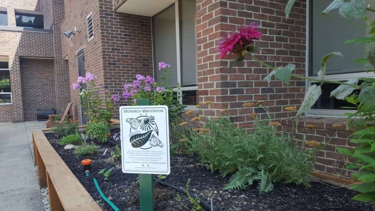 The Rolling HIlls' Sensory Garden has been certified and registered by Monarch Watch ans an official Monarch Waystation.Monarch Waystations provide milkweeds, nectar sources, and shelter needed to sustain monarch butterflies throughout their annual cycle of reproduction and migration through North America.