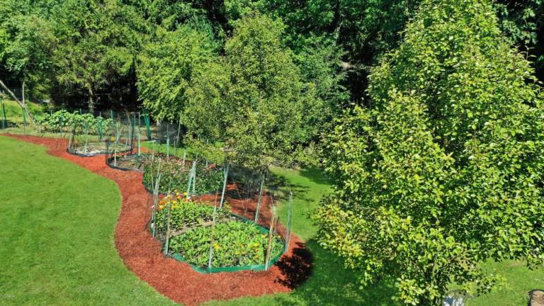 Secluded farmhouse on four acres comes with a green business default