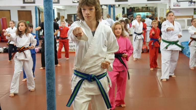 Vernon Valley Karate about families Vernon Valley Karate about families