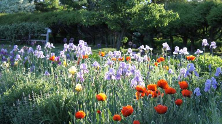 Meadowburn Farm will open for tours Meadowburn Farm will open for tours