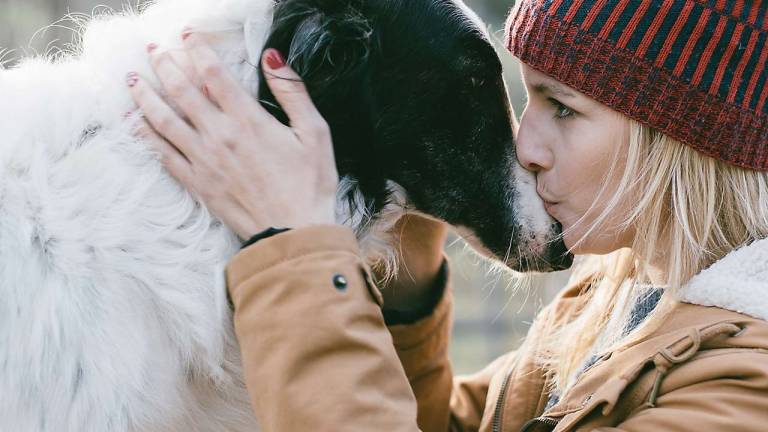 At some colleges, no need to be separated from a beloved pet At some colleges, no need to be separated from a beloved pet