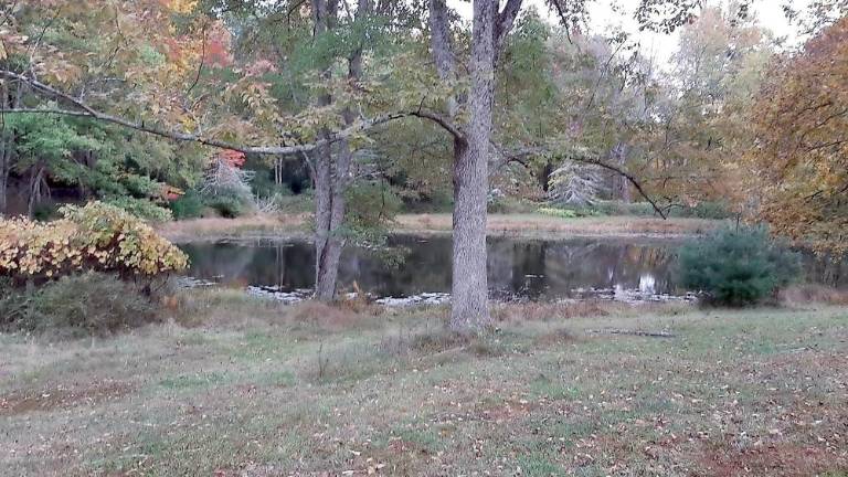 House and land offer great investment opportunity House and land offer great investment opportunity