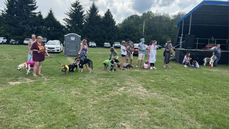Dogs have their day Dogs take part in the costume contest.
