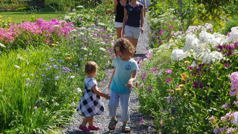 Meadowburn Farm opens for visitors Meadowburn Farm opens for visitors