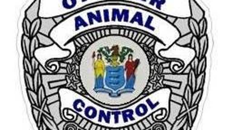 Vernon Police: Animal Control not always first to respond Vernon Police: Animal Control not always first to respond