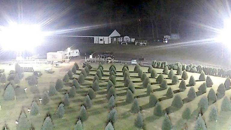 Hamburg Fire Department holds Christmas tree sale Hamburg Fire Department Facebook photo