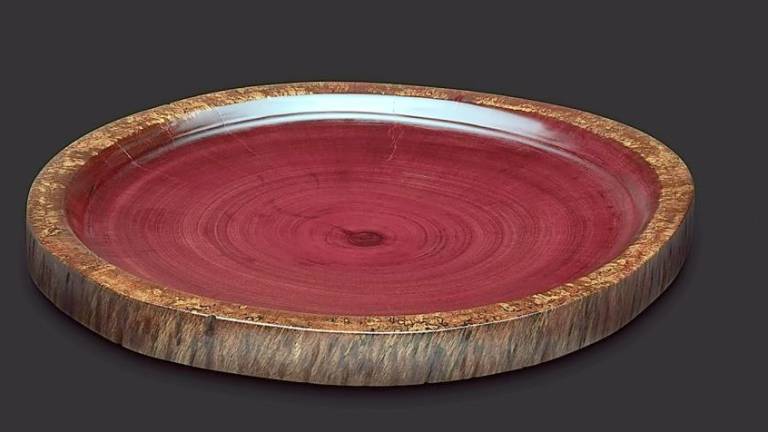 DVAA celebrates nature — and the reopening of their galleries Alexandra Climent’s “Platter,” from “For the Love of Wood”